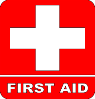 22-4217-AUT-First Aid Fundamentals Training Course for Schools