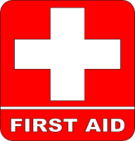 25-8276-AUT- First Aid in the School Setting - Face to Face